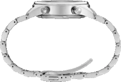 Seiko Watch Store -Seiko Watch Store SFJ003 2