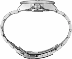 Seiko Watch Store -Seiko Watch Store SRPE33 2