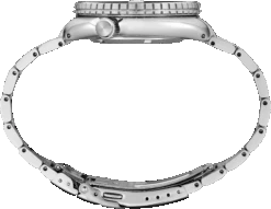 Seiko Watch Store -Seiko Watch Store SRPK01 2