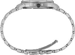 Seiko Watch Store -Seiko Watch Store SUR585 2